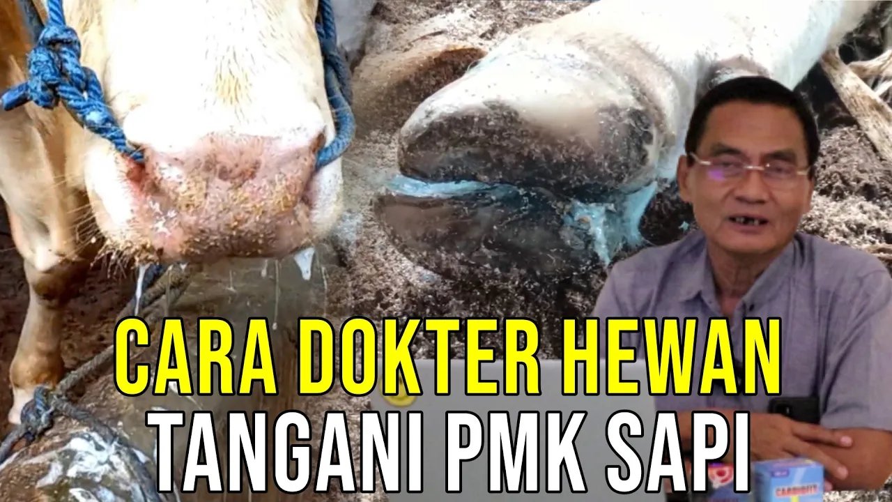 
                                 Cara-Dokter-Sembukan-PMK